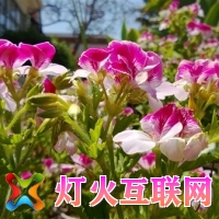 Lumia 928չع⣨ͼ