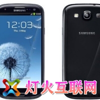 Galaxy S3Bug͵