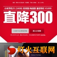 1699ԪС2S 16GB汾տ