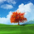zyf201020100