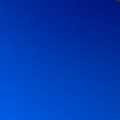 leastreptile